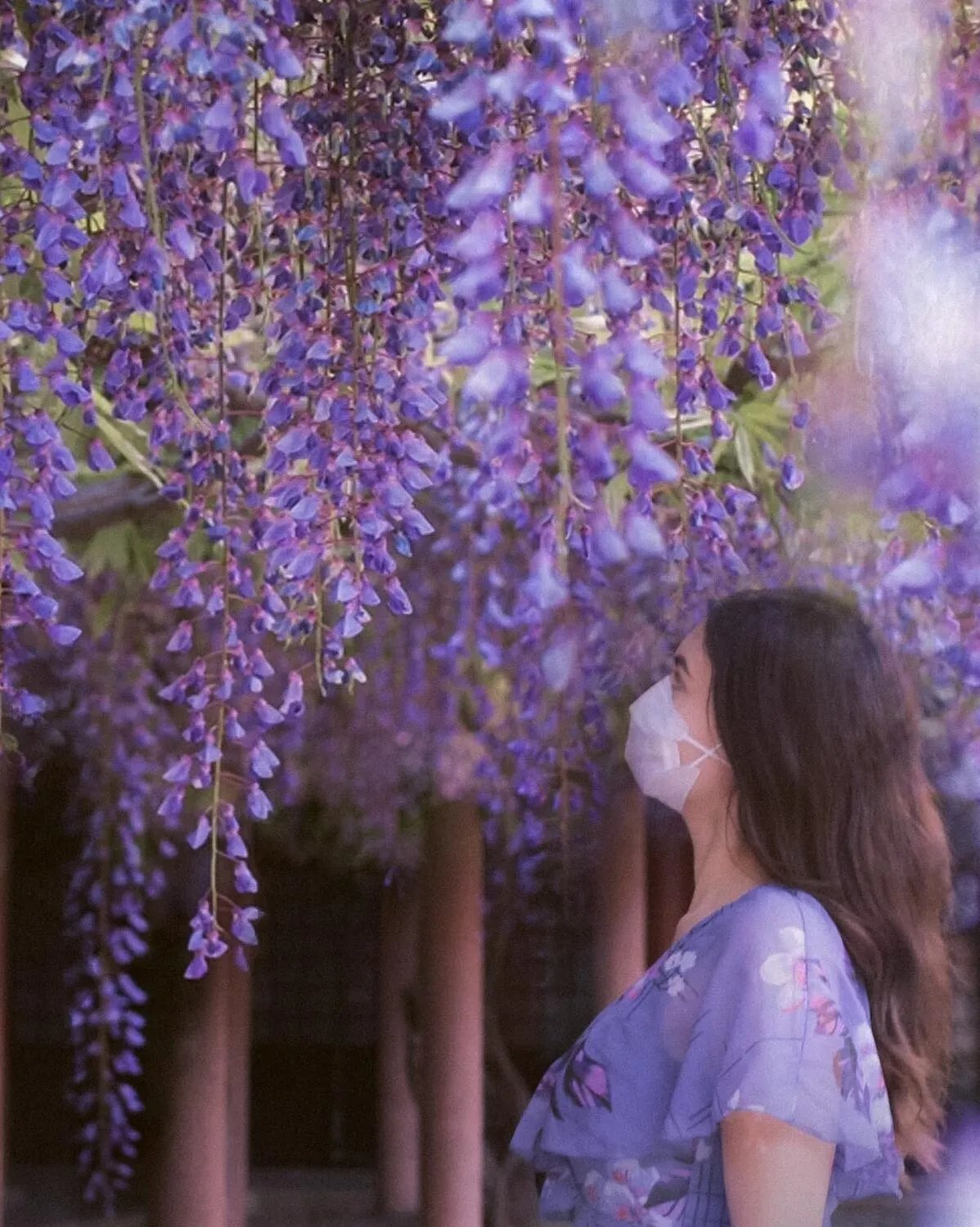 ⛩️ 이치조 신사(一條神社) 이미지 18